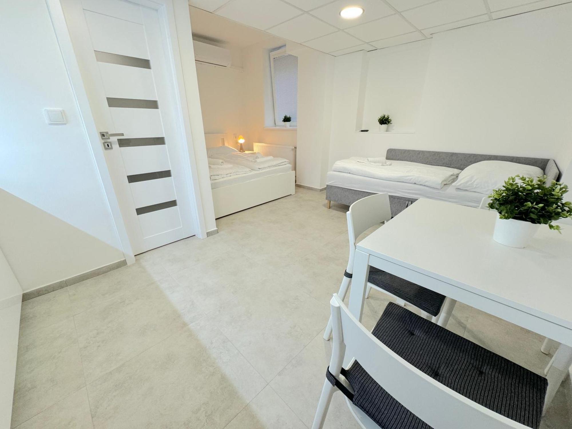 Krasny - 1 V Srdci Centra Apartment